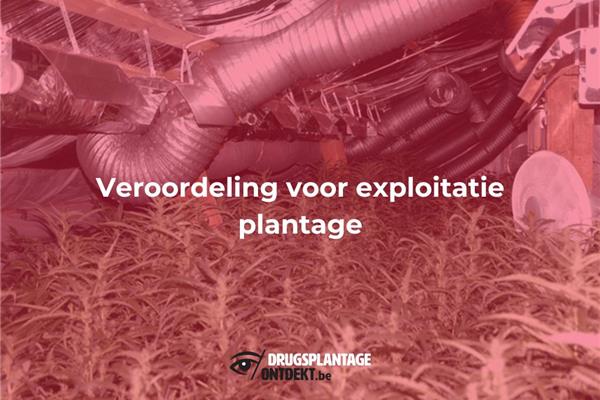 Willebroek - Veroordeling voor exploitatie plantage